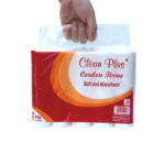 Clean Plus non-core Roll Emboss @10 Rolls